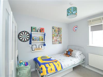 Picture 14